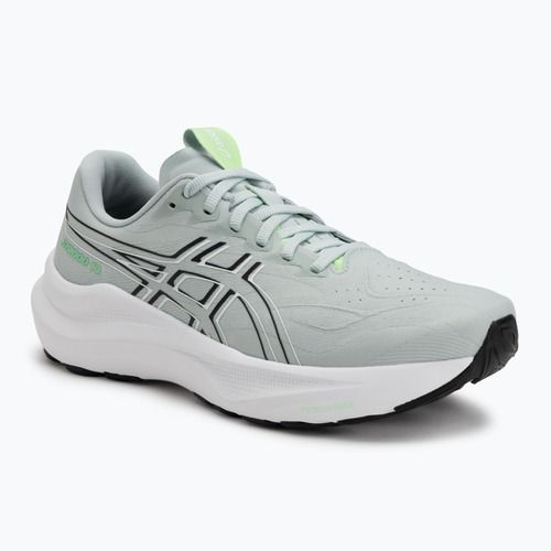 Vyriški bėgimo bateliai Asics GT-2000 14 Cold Moss/Black