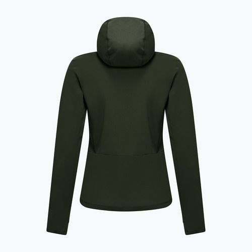 Vyriškas žygio džemperis Salewa Puez Sun Hoodie dark olive