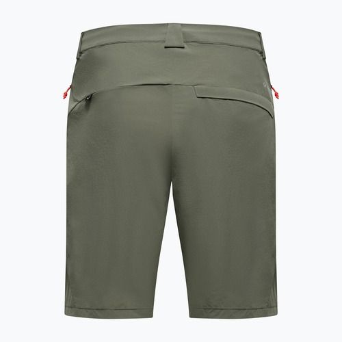 Vyriški žygio šortai Salewa Puez Talveno DST faded green