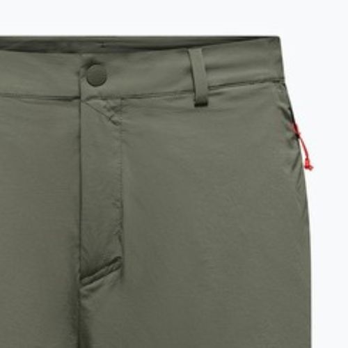 Vyriški žygio šortai Salewa Puez Talveno DST faded green