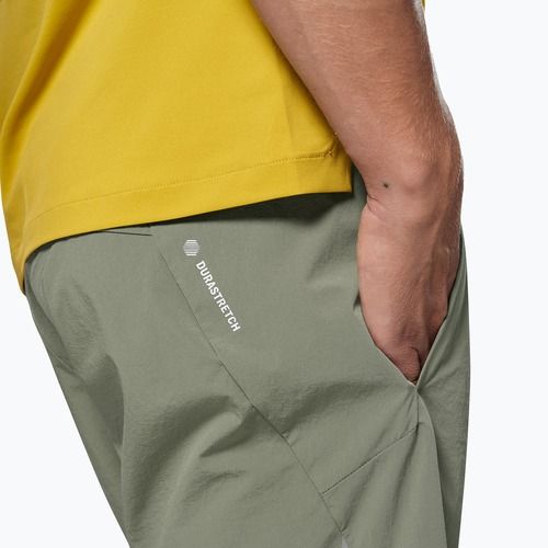 Vyriški žygio šortai Salewa Pedroc DST Light faded green