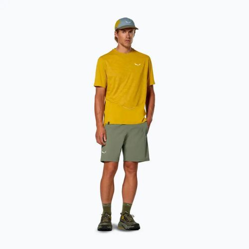 Vyriški žygio šortai Salewa Pedroc DST Light faded green