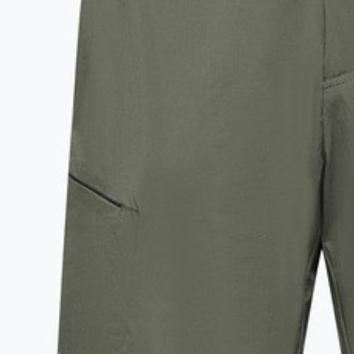 Vyriški žygio šortai Salewa Pedroc 4 DST Cargo faded green