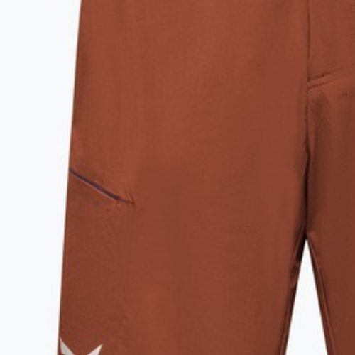 Vyriški žygio šortai Salewa Pedroc 4 DST Cargo bombay brown/0910
