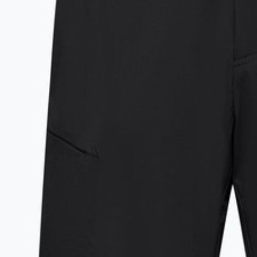 Vyriški žygio šortai Salewa Pedroc 4 DST Cargo black out