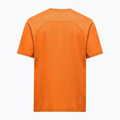 Vyriški marškinėliai Salewa Pedroc Dry Light turmeric