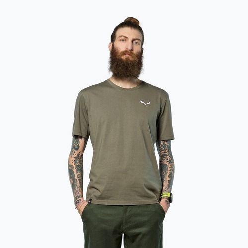 Vyriški marškinėliai Salewa Eagle Vocab faded green