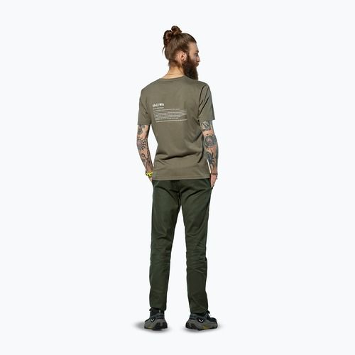 Vyriški marškinėliai Salewa Eagle Vocab faded green