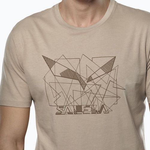 Vyriški marškinėliai Salewa Eagle Geometric quicksand