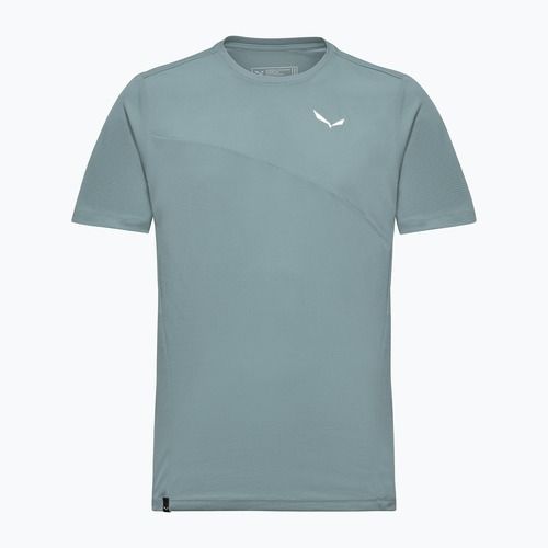 Vyriški žygio marškinėliai Salewa Puez Sporty Dry willow