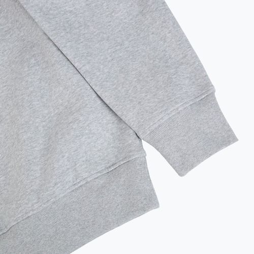 Džemperis The North Face Celebration Relaxed Crew Graphic tnf light grey heather