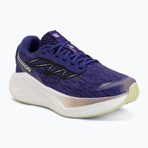 Moteriški bėgimo batai Salomon Aero Glide 4 deep blue/white/butterfly