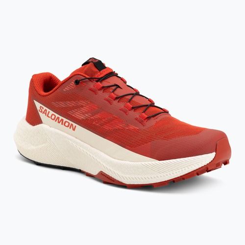 Vyriški bėgimo batai Salomon Pulsar fiery red/vanilla ice/black