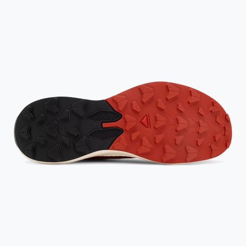 Vyriški bėgimo batai Salomon Pulsar fiery red/vanilla ice/black