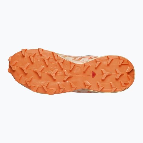 Moteriški bėgimo batai Salomon Speedcross 6 burro/sunny lime/almond cream