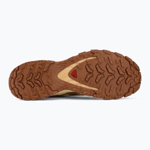 Moteriški bėgimo batai Salomon XA Pro 3D V9 endive/burro/almond cream