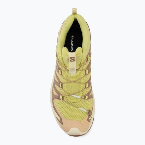 Moteriški bėgimo batai Salomon XA Pro 3D V9 endive/burro/almond cream
