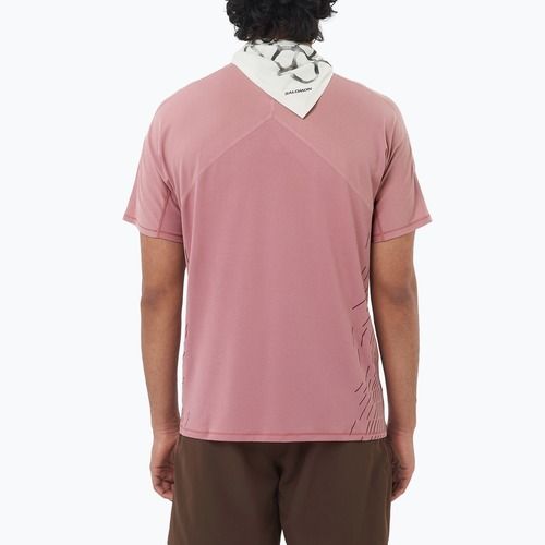 Vyriški bėgimo marškinėliai Salomon Sense Aero SS Tee GFX dusky orchid