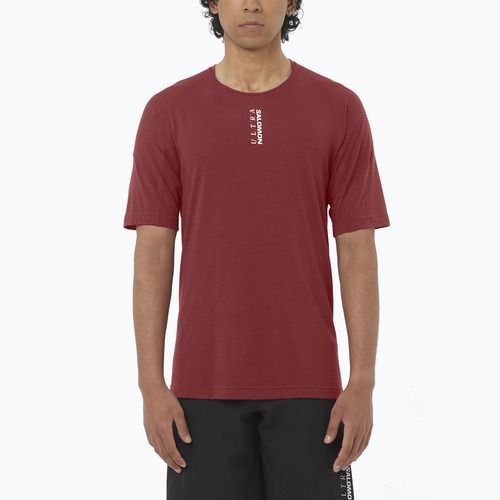 Vyriški bėgimo marškinėliai Salomon Ultra Tee syrah