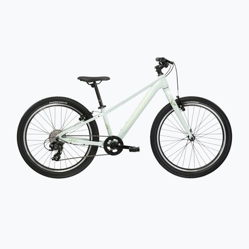 Vaikiškas dviratis KROSS Lea Jr 1.0 mint/green/gloss