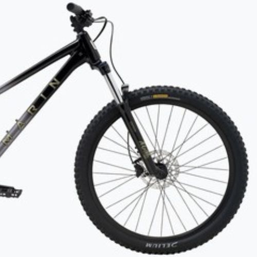 Kalnų dviratis Marin San Quentin 1 29 grey fade