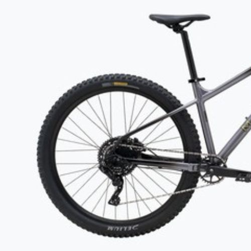 Kalnų dviratis Marin San Quentin 1 29 grey fade