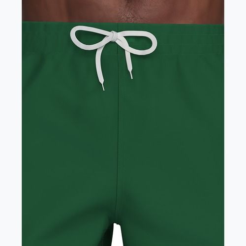 Vyriški maudymosi šortai Nike Lap Logo 5" Volley malachite