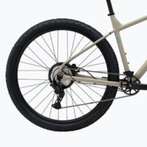 Kalnų dviratis Marin Bolinas Ridge 2 29 sand/turquoise