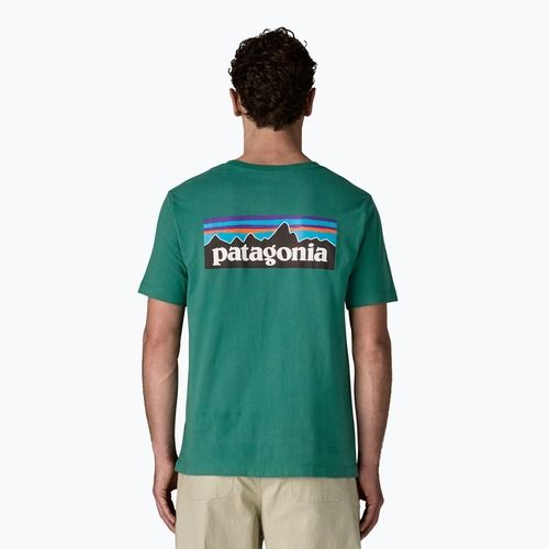 Vyriški marškinėliai Patagonia P-6 Logo gem green