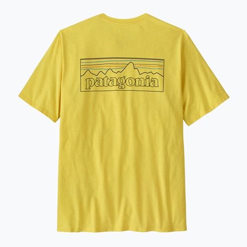 Vyriški marškinėliai Patagonia P-6 Logo Responsibili-Tee p-6 outline/lemon zest