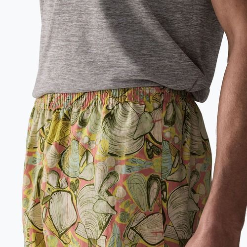 Vyriški šortai Patagonia Baggies 5" shelly shelly/mellow melon