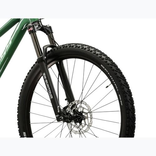 Kalnų dviratis KROSS Level 5.0 green/green/gloss