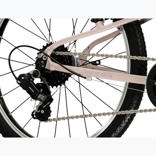 Vaikiškas dviratis KROSS Liftie 20 pink/graphite/matte