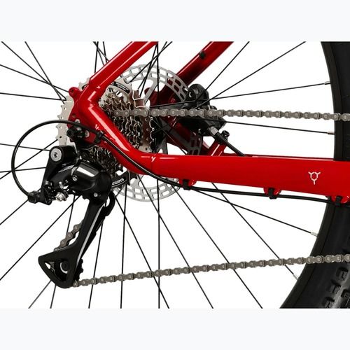 Kalnų dviratis KROSS Hexagon 4.0 29" red/silver/gloss