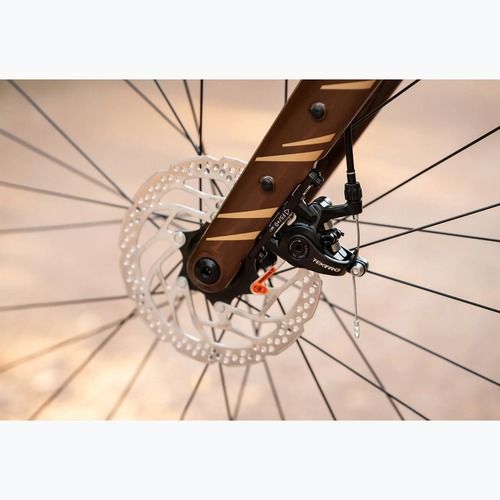 Gravel dviratis KROSS Esker 2.0 brown/beige/gloss