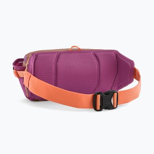 Juosmens krepšys Patagonia Black Hole Waist Pack 5 l peach sherbet