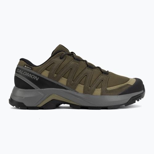 Vyriški žygio batai Salomon X-Adventure Recon Waterproof olvnig/martini