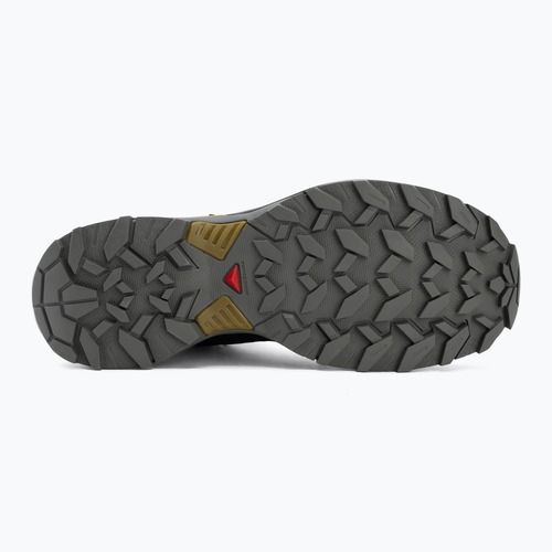 Vyriški žygio batai Salomon X Ultra 360 MID GTX urban chic/black