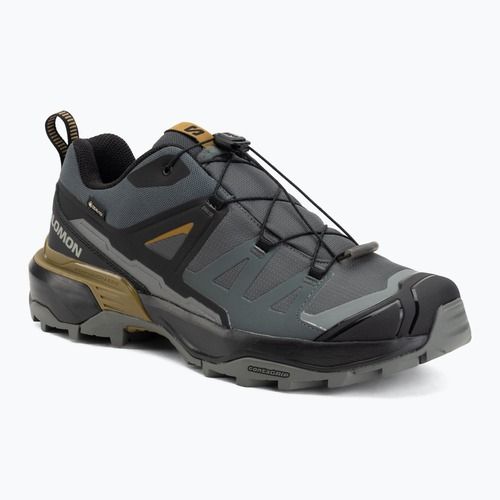 Vyriški žygio batai Salomon X Ultra 360 GTX urban chic/black