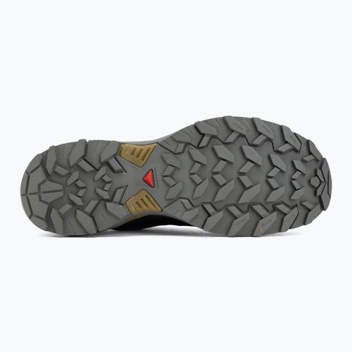 Vyriški žygio batai Salomon X Ultra 360 GTX urban chic/black