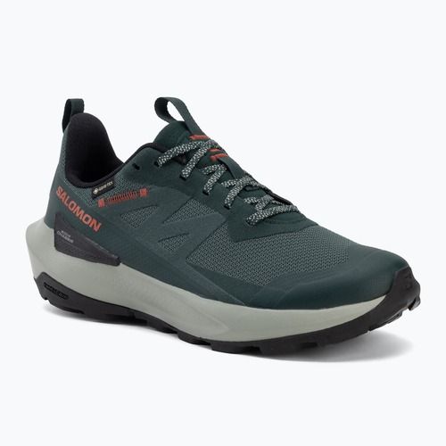 Vyriški turistiniai batai Salomon Elixir Activ GTX scarab/green gable