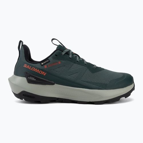 Vyriški turistiniai batai Salomon Elixir Activ GTX scarab/green gable