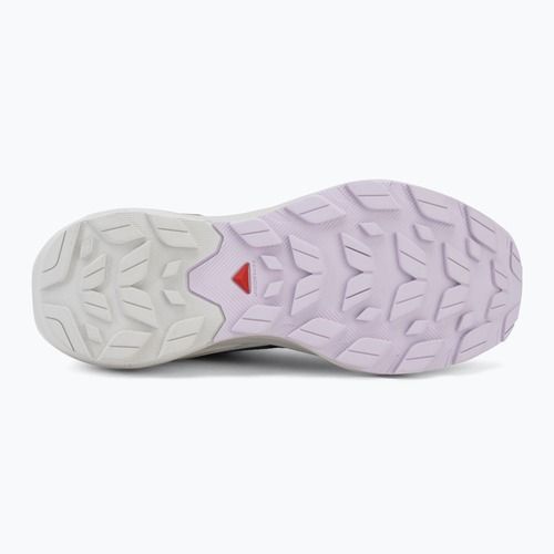 Moteriški turistiniai batai Salomon Elixir Activ GTX shskin/glacier gray/opetal