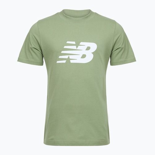 Vyriški marškinėliai New Balance Graphic V Flying oregano