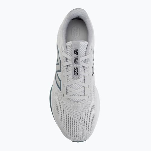 Vyriški bėgimo batai New Balance Fresh Foam 520's V9 grey matter/raincloud/salt water
