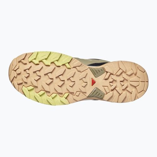 Vyriški žygio batai Salomon X Ultra 360 Edge aloe/slate green