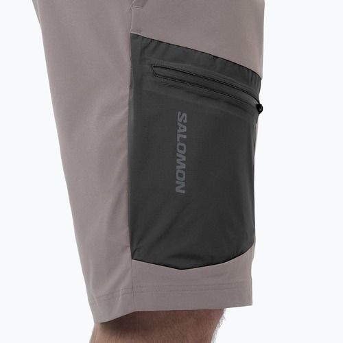Vyriški žygio šortai Salomon Outerpath Utility iron
