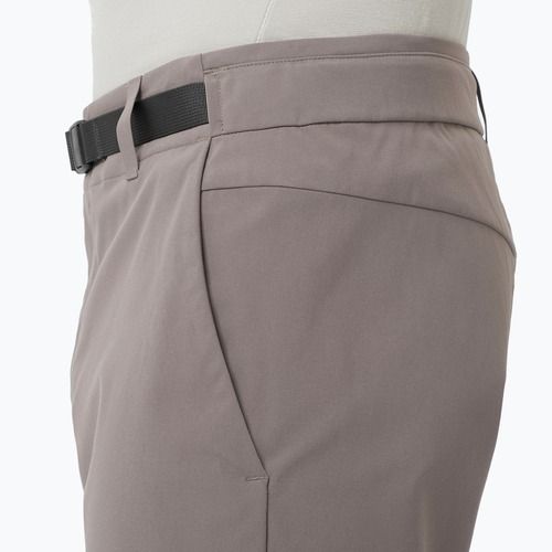 Vyriški žygio šortai Salomon Outerpath Utility iron