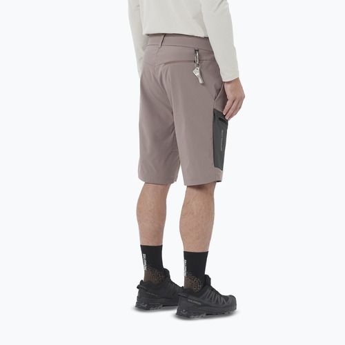 Vyriški žygio šortai Salomon Outerpath Utility iron