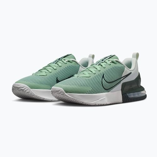 Vyriški treniruočių batai Nike Air Max Alpha Trainer 6 steam/spruce aura/off white/black spruce